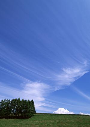 お墓の永代使用料、ゆめみどうの納骨堂