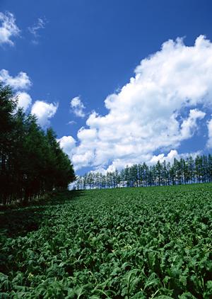 東京都にある「西多摩郡 瑞穂斎場」
