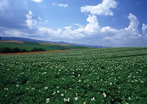 静岡県藤枝市の家族葬・家族向け葬儀場【富士葬祭 藤枝御苑】の特徴と施設情報