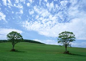 静岡県浜松市中央区に新規オープン!家族葬のタクセル有玉南町の特徴と利用メリット