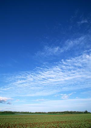 静岡県島田市における家族葬・一般葬に最適な斎場【富士葬祭 島田】の詳細と特徴