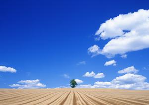 栃木県那須塩原市の家族葬専門斎場【家族葬のタクセル新緑町】:安心低価格・少人数向けの葬儀サービス