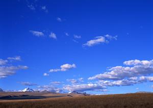 栃木県宇都宮市に新オープン!家族葬に最適な【家族葬のタクセル平松本町】の魅力と詳細情報