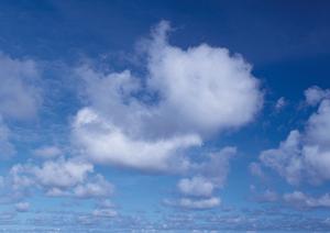 越谷市で信頼と実績を誇る葬儀場【ティア越谷】:家族葬から一般葬まで最適なプランを提供