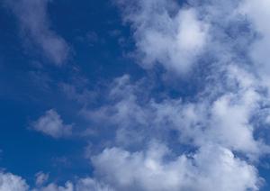 403 Forbiddenエラーの理解と対策:ウェブサイトアクセスの基本と解決策