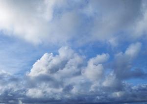 静岡市で信頼の葬儀サービスを提供する富士葬祭 材木町の詳細ガイド