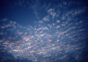 静岡県磐田市に根ざした信頼の葬儀サービス【富士葬祭 富士見台】の概要と特徴